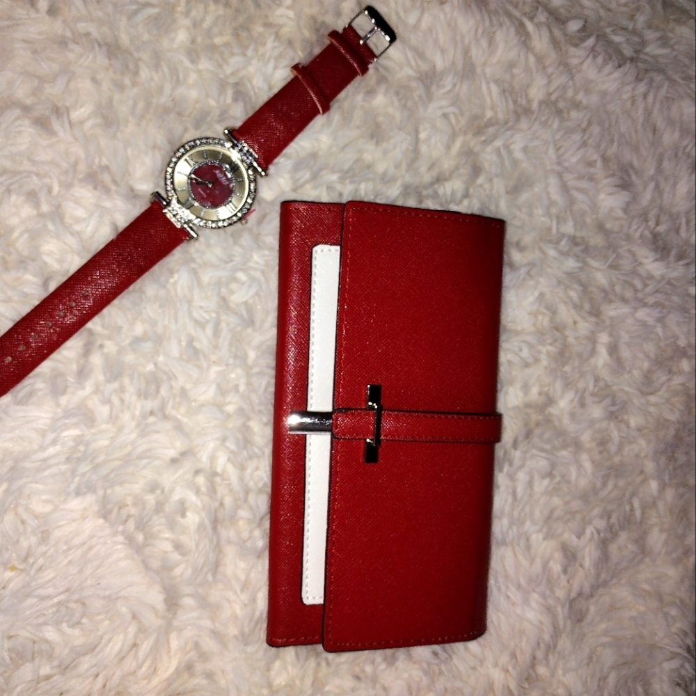 Ashley Watch and Wallet set